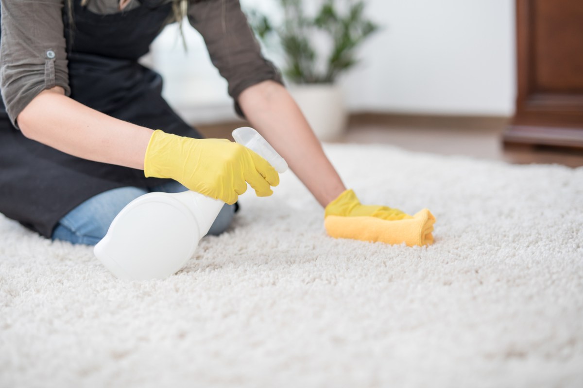 How to Shampoo Carpets with a Carpet Extractor Bob Vila