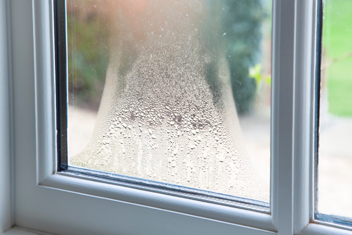Close up of condensation on window.