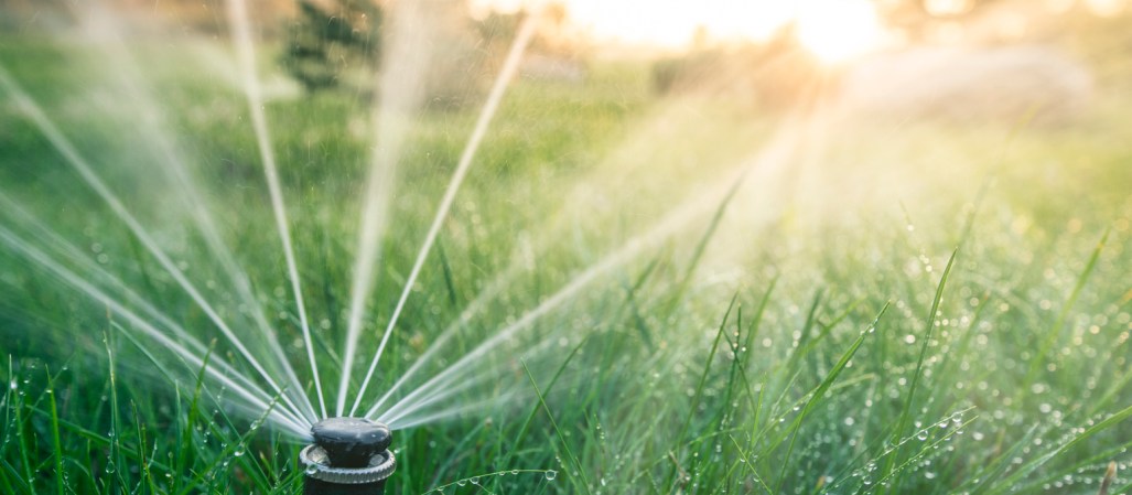 Ditch the Hose with a Drip Irrigation System
