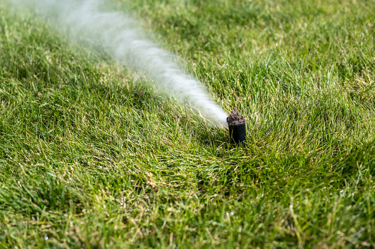 how to winterize a sprinkler system pressurized air blowing through sprinkler