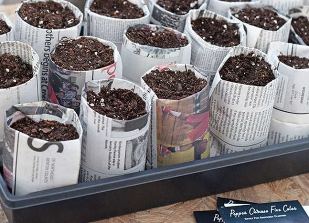 13 Clever New Uses for Old Newspapers