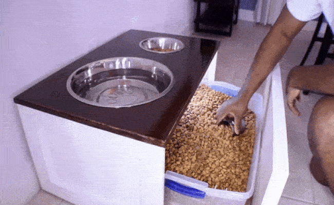 Genius! The DIY Dog Feeder that Doubles as Storage
