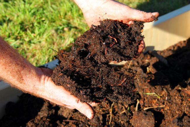 Types of Mulch - Manure