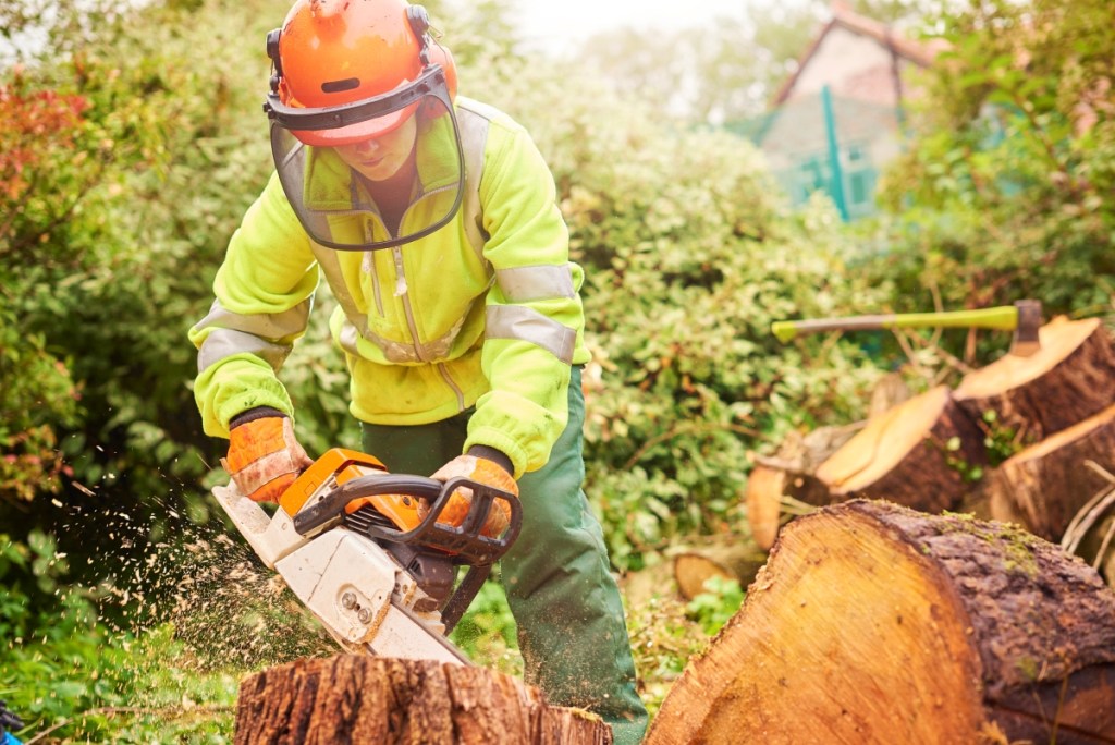 How to Use a Chainsaw Safely