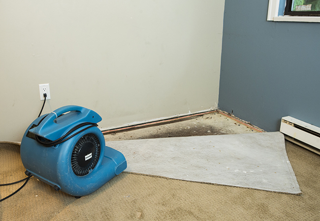 How To: Dry a Wet Basement
