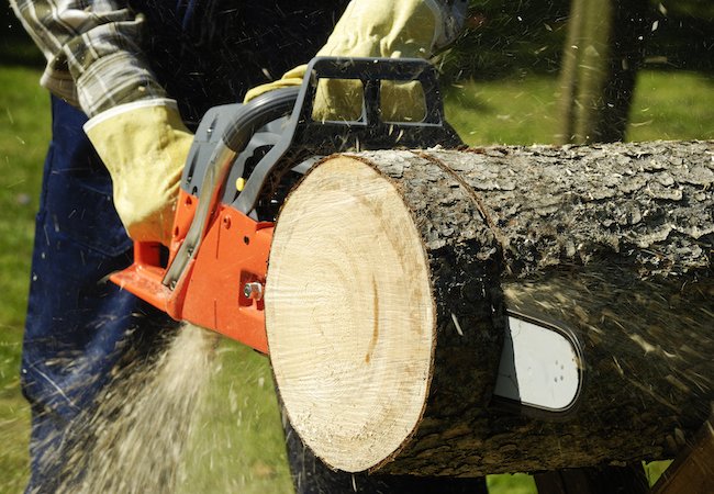 How to Use a Chainsaw