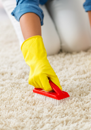 How to Get Mold Out of Carpet - Removing Mold