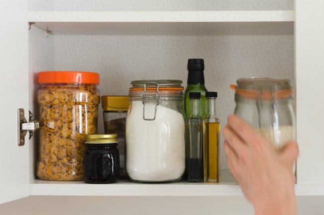 How to Catch a Mouse - Protecting Your Food from Future Pests
