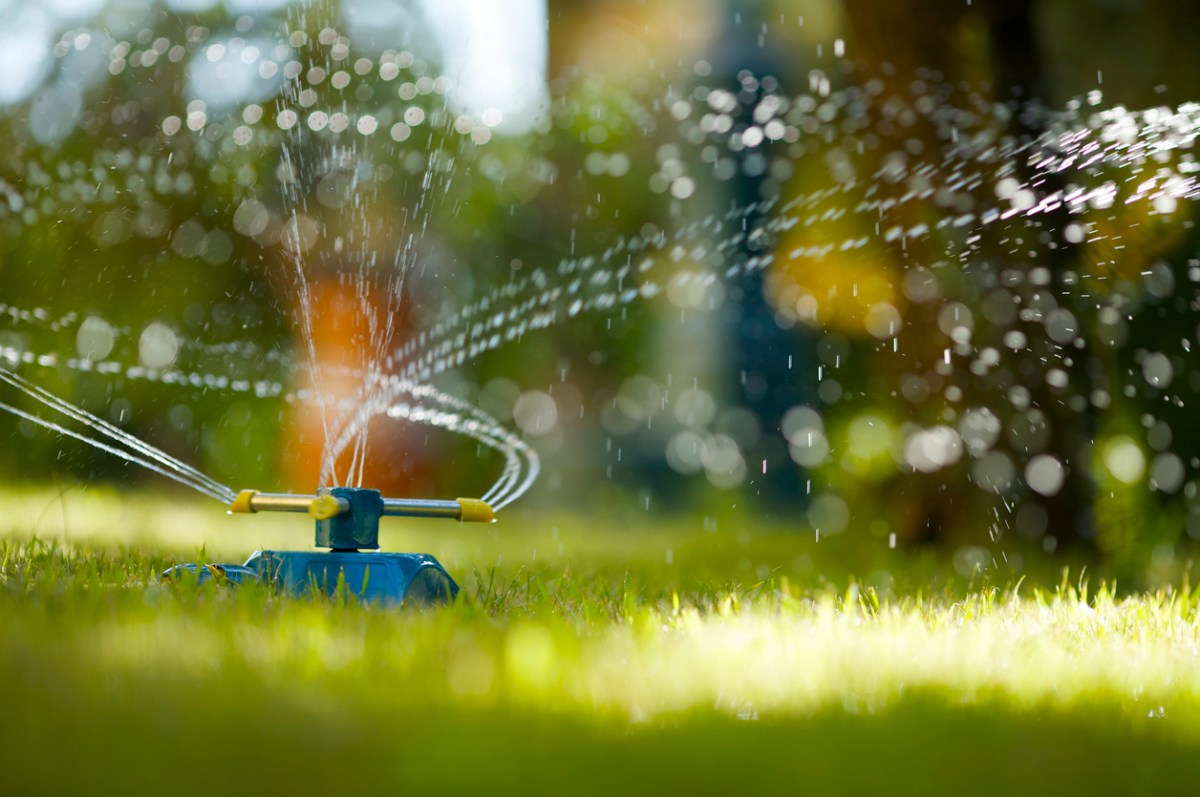 https://www.bobvila.com/slideshow/7-smart-ways-to-save-water-in-the-yard-48742