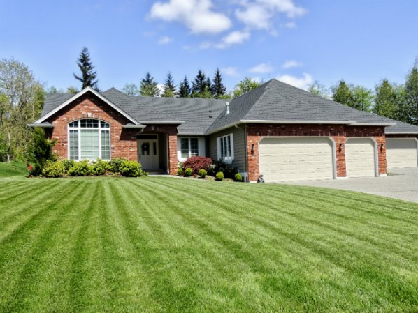 The Best Lawn Fertilizers Options