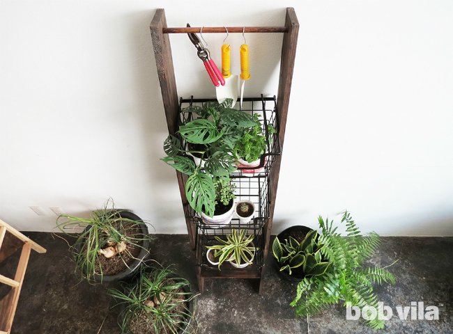 How to DIY a Ladder Plant Stand