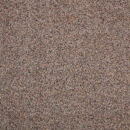 Lifeproof Playful Moments II Textured Carpet for Dogs