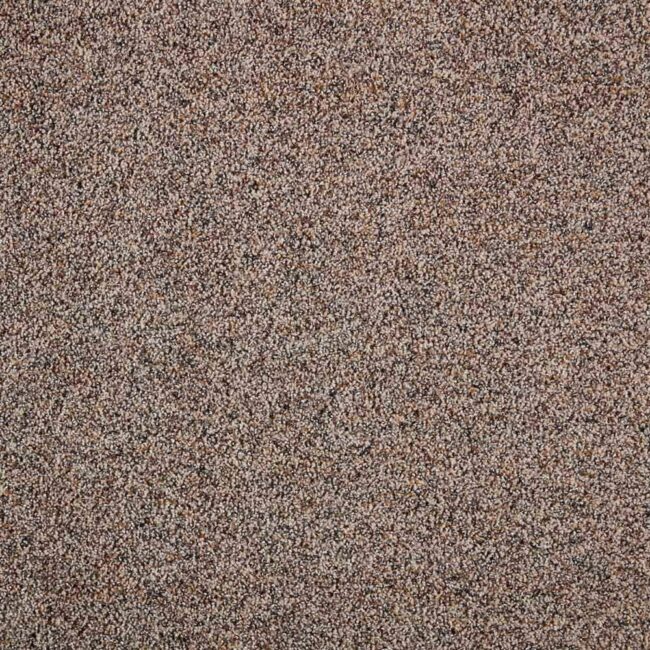  Lifeproof Playful Moments II Textured Carpet for Dogs