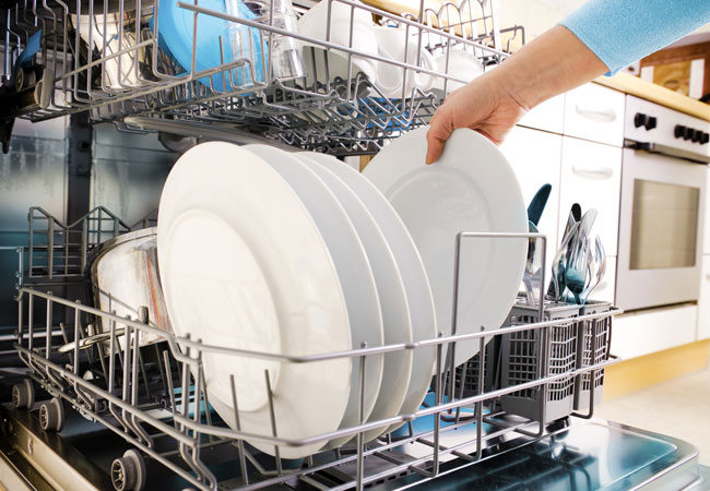 Smelly Dishwasher – Solved!