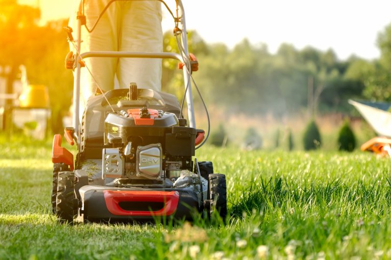Woman mows lawn at dusk, mower coming toward camera.