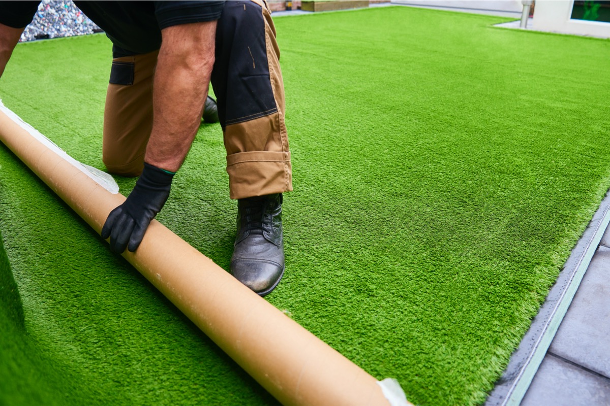 types of grass