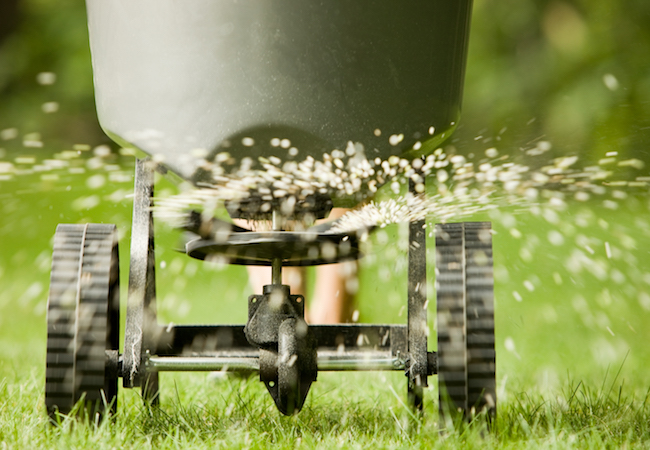 5 Good Reasons Not to Mow the Lawn This Weekend