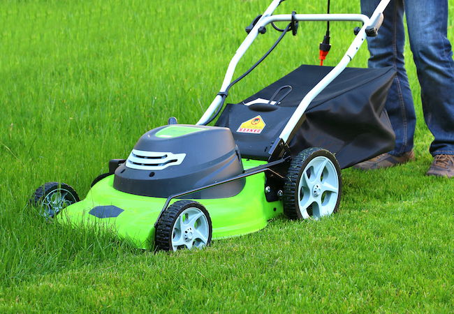 Solved! The Great Debate on Mowing Wet Grass