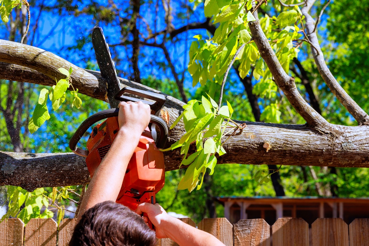 A person uses a chainsaw to cut tree limbs that hang over a home.