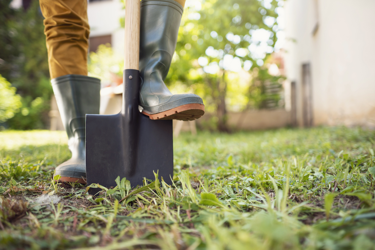Close-up shot of an unrecognizable gardener standing in his backyard with shovel pinned to the ground.