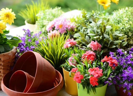 25 Ways to Beautify Your Yard Without Planting a Thing - Bob Vila