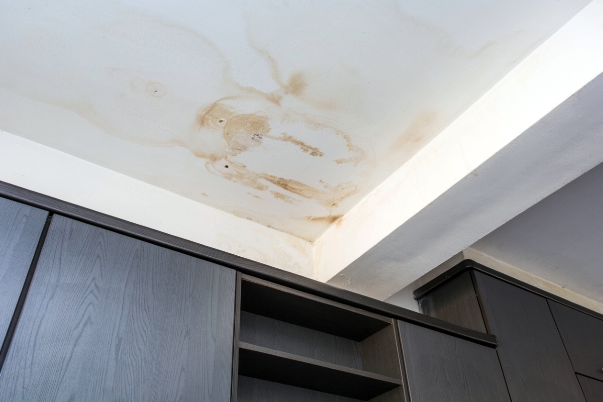 Brown water stains on white ceiling.