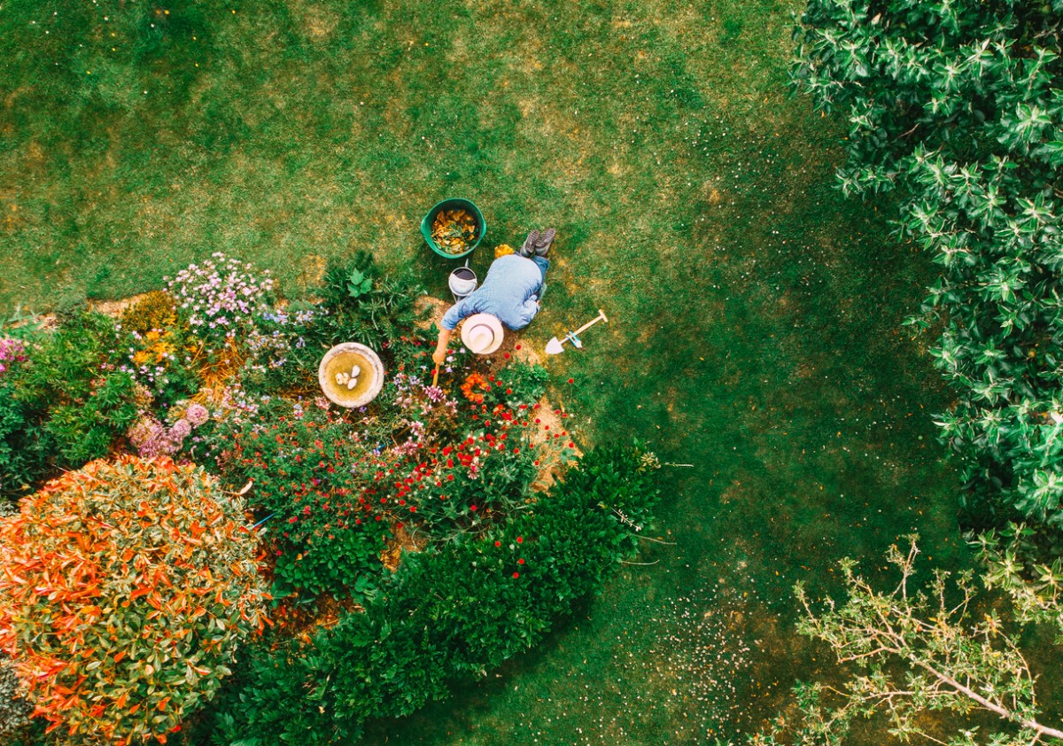 overhead view of gardener tending to colorful circular flowerbed rain garden in bright green lawn