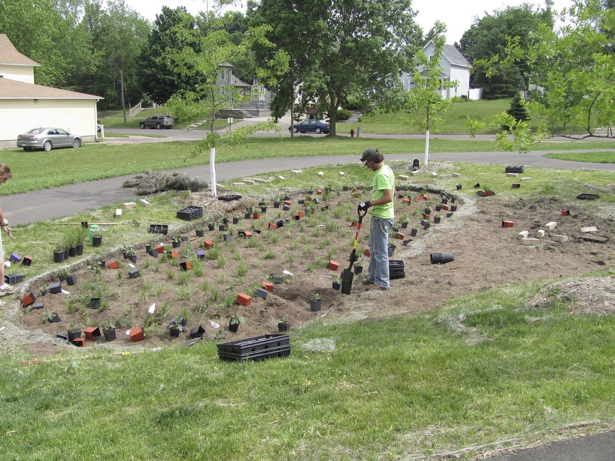 Man overseeing planting community rain garden in Northfield, MN