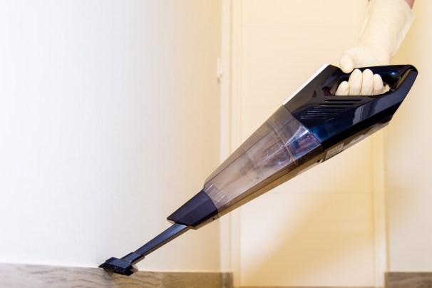 How to Get Rid of Flying Ants and Prevent Their Return - Bob Vila