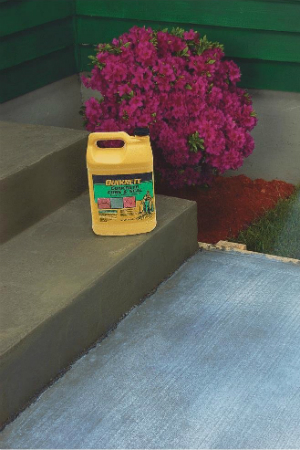 Dos and Don'ts for Curing Concrete