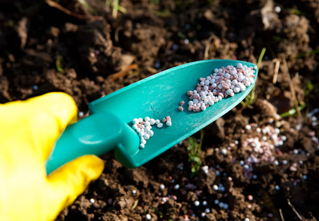 The Types of Fertilizer Every Gardener