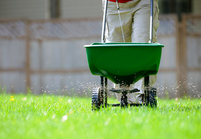 Types of Fertilizer Every Gardener Should Know