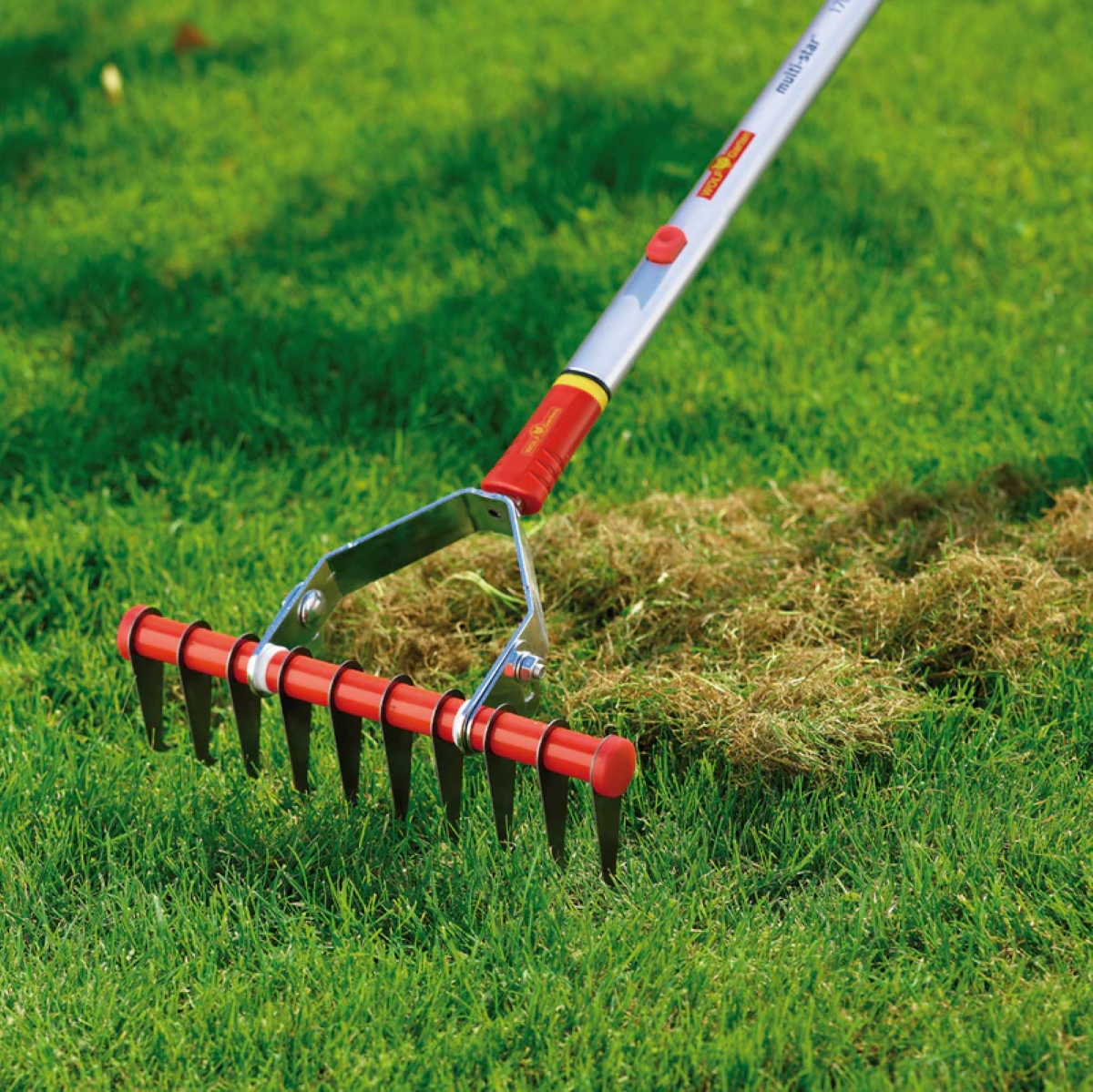 Dethatching rake used on green grass.