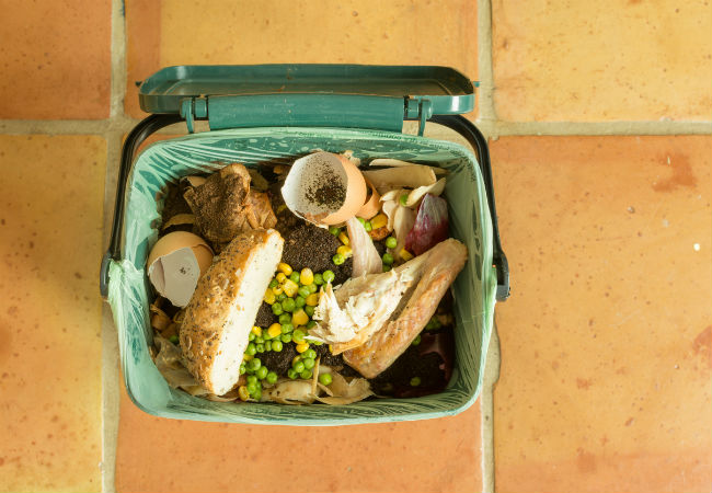 Top Tips for Indoor Composting