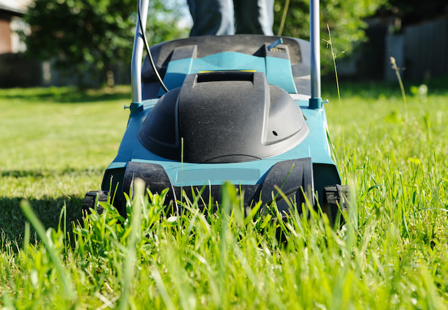 Solved! The Great Debate on Mowing Wet Grass