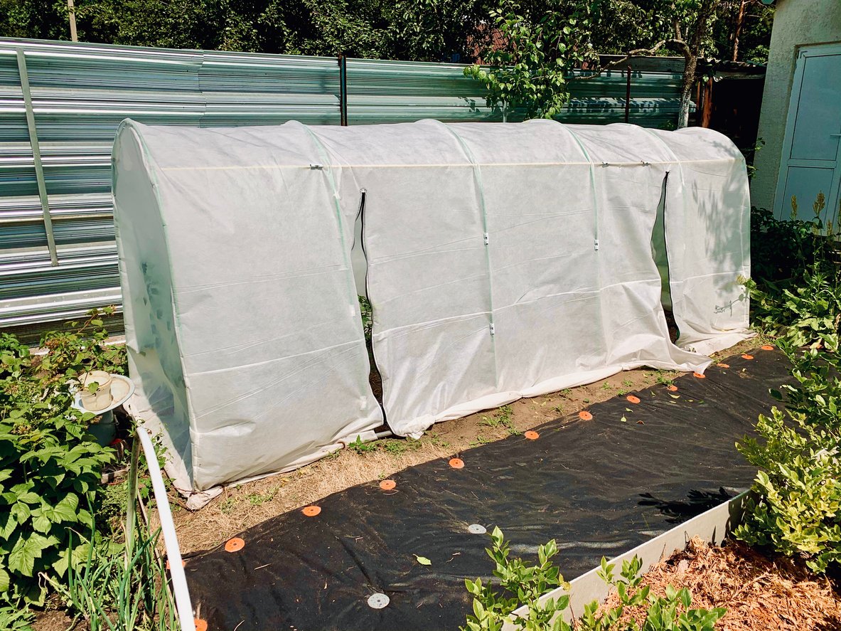 Garden row with hoop and cover contraption to prevent bug damage.