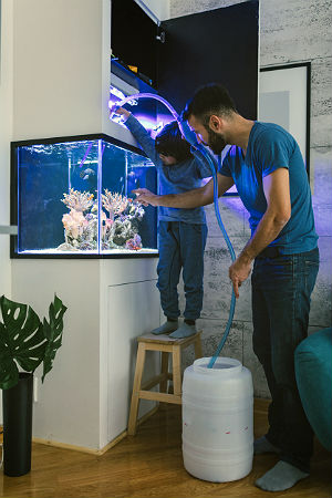 How to Clean a Fish Tank in 6 Easy Steps