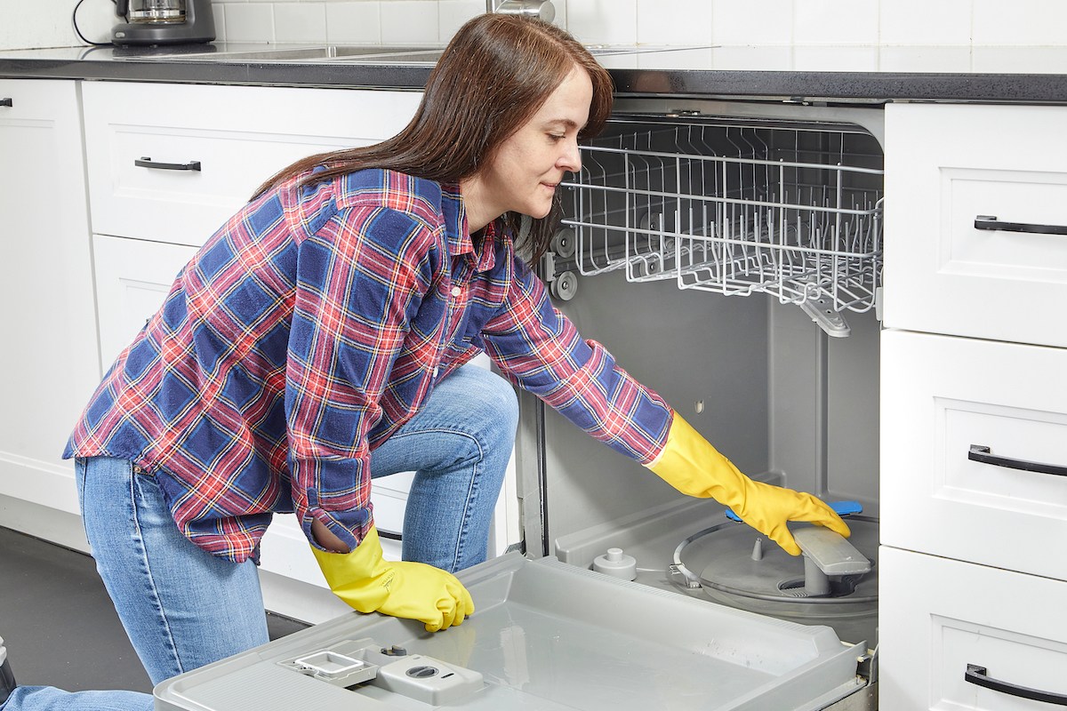 How to Clean a Dishwasher Filter in 6 Quick Steps