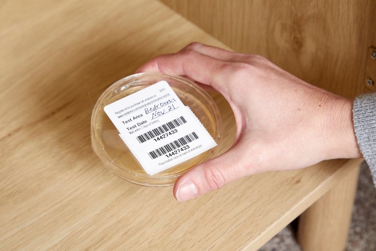 Woman positions a labeled petri dish inside a cabinet shelf.