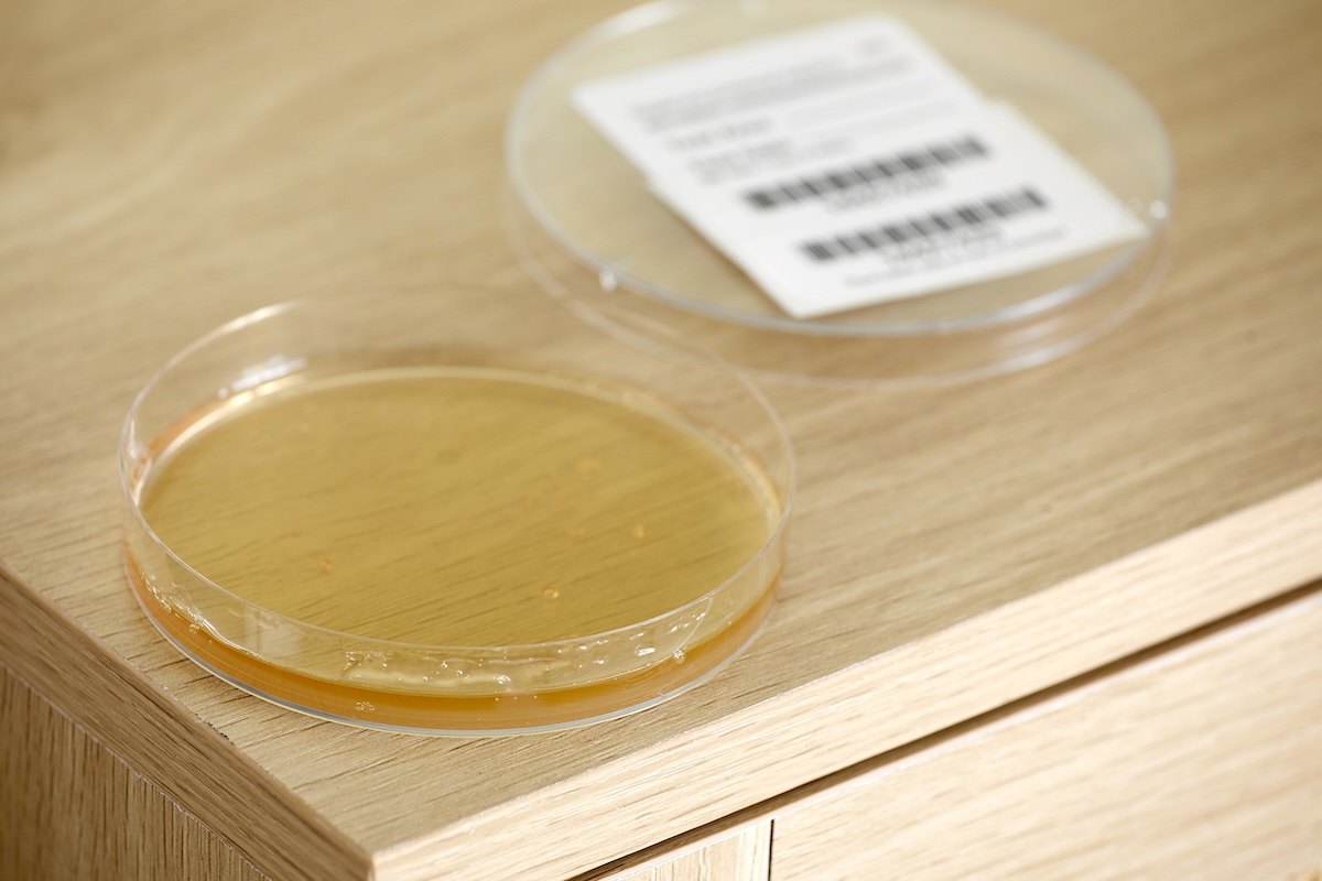 Open petri dish with liquid inside sits on the edge of a cabinet, its labeled lid nearby.