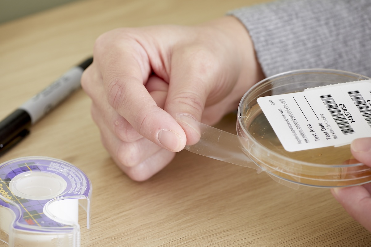 Woman uses Scotch tape to seal the circumference of the petri dish.