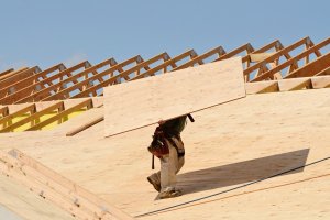 A roofer is carrying a plywood sheet to install.