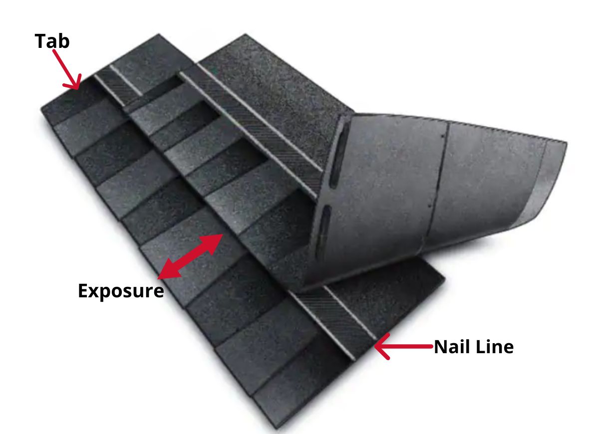 Labeled Diagram of Shingles