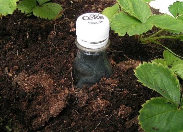 12 Genius Ways to Reuse Your Plastic Bottles