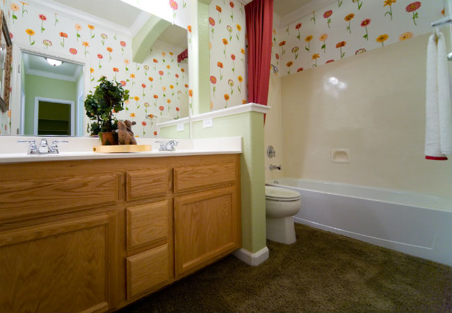 Solved! Dealing with a Carpeted Bathroom