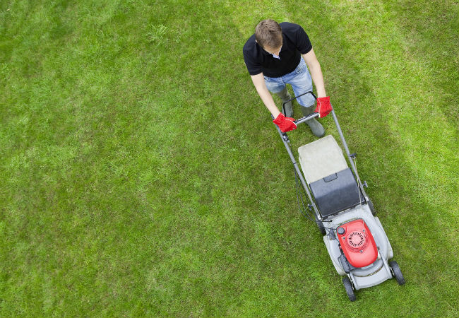 Lawn Striping Tips to Know Before You Start