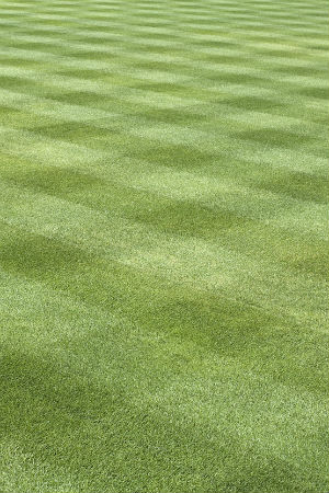 Lawn Striping Tips to Know Before You Start