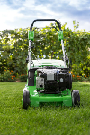 Best Type of Oil for Lawn Mowers, Solved!