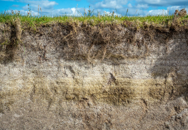 How to Get Loamy Soil in Your Garden