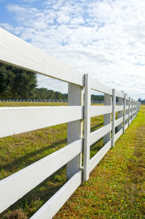 Wood vs Vinyl Fence: Which to Choose for Your Yard